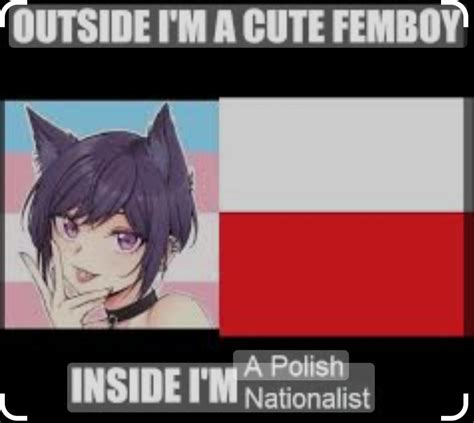 femboy population in poland|Femboys.